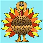 turkey turkey